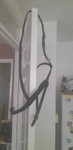 F/s Brown Flash bridle headpiece - Picture 1 of 3
