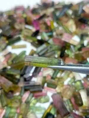 Natural Bi-Color Multicolor 300 Ct Tourmaline Pencil Rough Lot Loose Gemstone A+ - Image 1 of 4