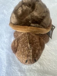 The Petting Zoo Plush/ stuff Sea Tortoise From Recycled Material - Picture 1 of 7