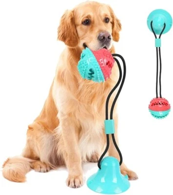 Suction Cup Dog Toy Chew Toys Pet Ball Pet Toothbrush Cat Toys PACK OF 2 - Image 1 of 4