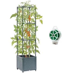 Raised Garden Bed with Tomato Planter Cage, Trellis Planter Boxes for Outdoor... - Picture 1 of 6