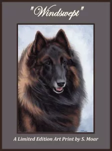Belgischer Schäferhund Tervuren Hund Windswept Limited Edition Kunstdruck - Bild 1 von 1