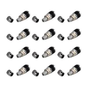 12pcs Motorcycle Tire Metal Bolt Rod Wheel Tire Valve Stem Kit with Dust Cap B - Picture 1 of 8