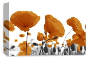 Floral Wall Art Orange Living Room Bedroom Framed Canvas Picture Ready to Hang - Picture 1 of 6