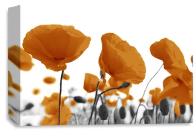 Floral Wall Art Orange Living Room Bedroom Framed Canvas Picture Ready to Hang - Image 1 of 4