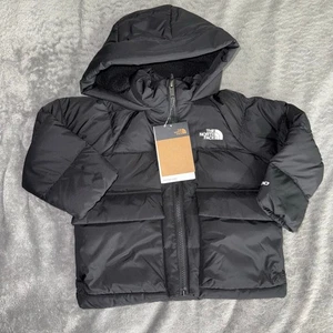 The North Face Little Kids' North Down Fleece-Lined Parka, 2T - Picture 1 of 5