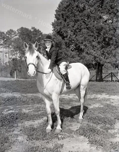 White Show Horse 1960er Jahre Original 4x5 Foto Negativ - Bild 1 von 1