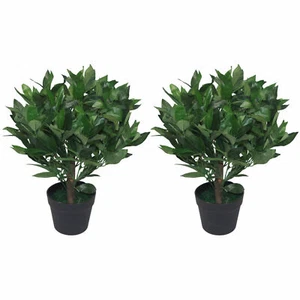 Par de árboles de bola topiary de bahía artificial PAR 50 cm tronco de madera real enano en - Imagen 1 de 5