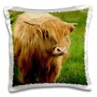 3dRose Scotland, Highland cow, farm animal - EU36 CMI0128 - Cindy Miller Hopkins