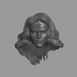 Wonder Woman Kingdom Come Alex Ross version custom head for action figure - Picture 1 of 1