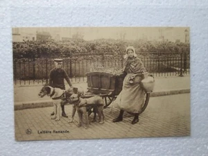Antique RPPC Flemish Laitiere Milkmaid Dog Pulling Cart Photo Postcard - Picture 1 of 2