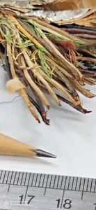 #22AWG WE Enamel Solid Copper Paper Cover Cloth wire 229.76M (A230) - Picture 1 of 7