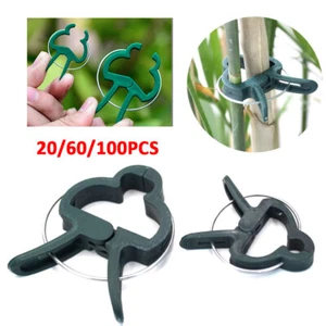 100 Grow Training Orchid Tomato Weatherproof Tie Stem Garden Plant Clips Support - Picture 1 of 12