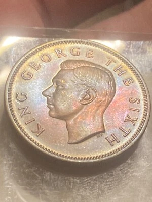 Bu Новая Зеландия 1951 Флорин киви птица животное синий, золотой + розовый цвет Тони - Изображение 1 из 4