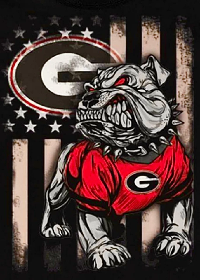 ORACAL (2) Georgia Bulldogs UGA Flag Design Waterproof Vinyl Stickers 5x3.5 Decals