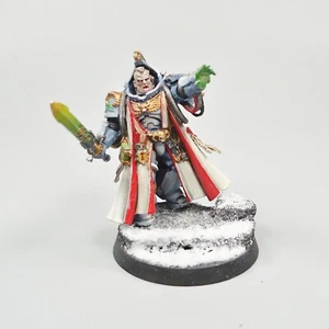 Warhammer 40k Space Marines Space Wolves Librarian Painted - Picture 1 of 5