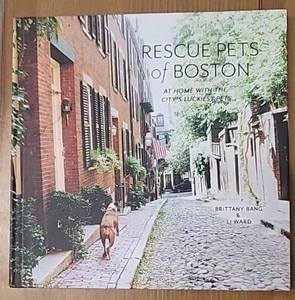 Rescue Pets Of Boston: At Home With The City's Luckiest Pets - Picture 1 of 2