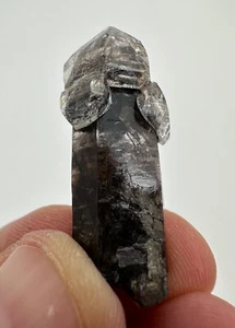 Natural 37mm Herkimer Diamond Black Stem Lollipop Scepter "Ancient Mushroom" - Picture 1 of 7