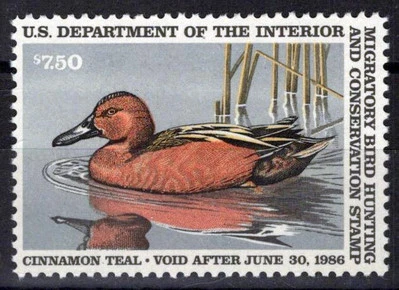 US RW52 MNH VF $7.50 Cinnamon Teal Duck Zayix Stamps 0225MAR0070 - Image 1 of 2