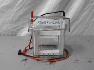 Sistema di elettroforesi mini celle Invitrogen XCell-SureLock - Foto 1 di 5