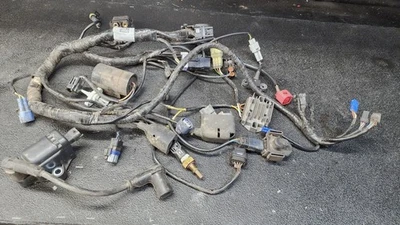 Cableado arnés de cables A44011075100 2023-2024 KTM HUSQVARNA 125 250 300 SX XC TC Foto 1 de 4