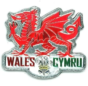 Welsh Fridge Magnet Red Dragon Silver Foil Stamp Souvenir Gift Wales Cymru - Picture 1 of 1