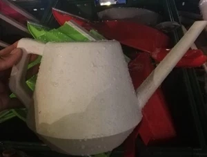 Jarra de riego Lota Bodna olla de riego plástico Bidét HDPE mango nariz larga blanco - Imagen 1 de 1