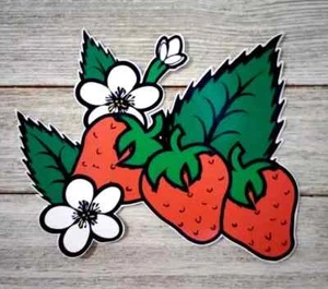 strawberries berry fruit wall safe sticker red 5.5 inch new - Picture 1 of 2