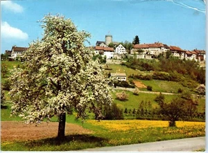 Springtime View of Regensberg, Switzerland Postcard - Picture 1 of 2
