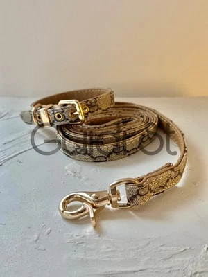 Luxury-Inspired Cat Dog Collar & leash - gucci inspired - Image 1 of 4
