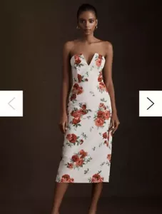 Sachin & Babi Nora Rose Strapless Midi Dress Size 2 Ivory Red NWT - Picture 1 of 11