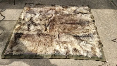 Antique Grey Wolf Fur Blanket REAL vintage turn of the century - Image 1 of 4