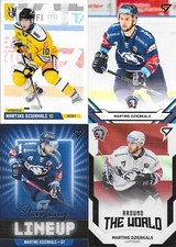 Martins Dzierkals, 4 different cards, Skellefteå AIK (SHL) Sweden