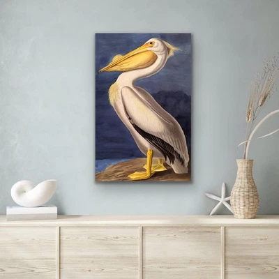 Impresión de cuadro de arte de pared en lienzo "pintura vintage, pelícano blanco americano" Foto 1 de 4