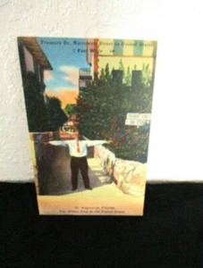 Old Narrowest Street, Treasury Street ~ St. Augustine Florida - Postal de colección - Imagen 1 de 2