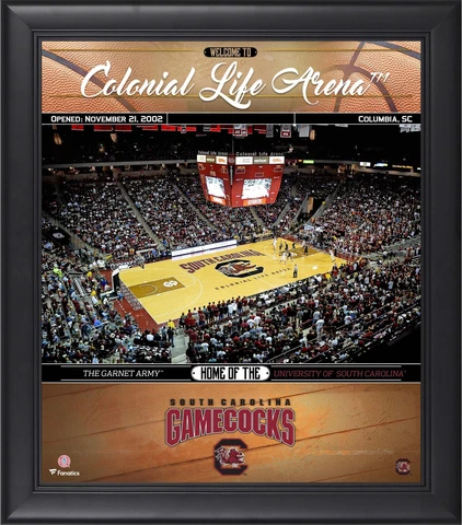 South Carolina Gamecocks Framed 15x17 Basketball Welcome Home Collage Cover