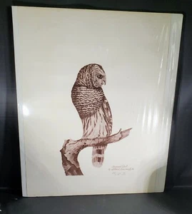 Leland Brewsaugh Barn Owl Print Numbered 2/250 First Print 1974 - Picture 1 of 5
