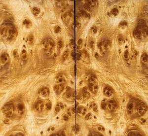 6970 Bookmatch Incrustación Madera Sabina Pingii Burl Caja Hacer Marquetr 4.8"x5.2"x0.12" - Imagen 1 de 2