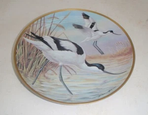 Franklin Porcelain - Water Birds of the World "AVOCET" Decorative Plate - Picture 1 of 5