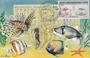 AK Ansichtskarte Postkarte 1. Tag MONACO 1960 Ozeanographisches Museum Fische ROT - Bild 1 von 1