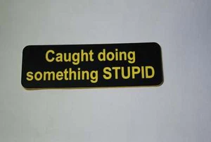 Caught doing something STUPID - Picture 1 of 1