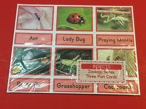 Insects - Zoology Series - Montessori 3 Three Part Card - (PRINTED) DIY - Imagen 1 de 4