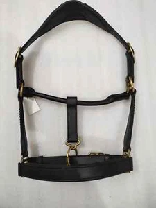 Three Row Black Crystal & Black Padding Leather Horse Anatomic Halter - Picture 1 of 5