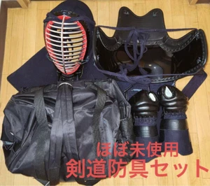 Kendo Bogu Armor Set Herren Gr. L Men Do Kote Tare mit Tragetasche fast unbenutzt - Bild 1 von 13