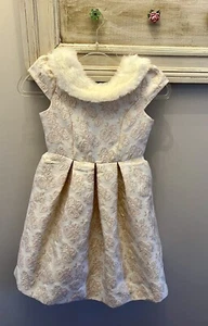 Janie And Jack Blush Castle Fur Collar Jacquard Dress Sz 8 NWT - Picture 1 of 9
