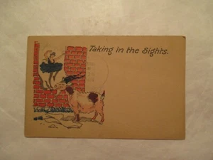 Taking in the sights Goat Ballerina  Postcard - Picture 1 of 2