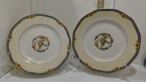 THEODORE HAVILAND LIMOGES FRANCE LANGEAIS Set of 2 DINNER PLATES 9 5/8" - Picture 1 of 13