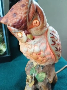 Vintage Porcelain Horned Owl Night Light 1 Petal Broken Works Perfectly - Picture 1 of 6