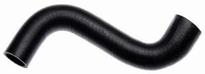 Radiator Coolant Hose for 1995-1981 Toyota, Pickup, 4-Cyl. 2.4 L, Lower - Eng. T
