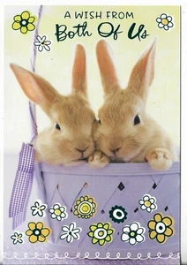 NEW Happy Easter Card 5.5x8 A Wish From BOTH OF US! 2 Bunnies in a Basket - Picture 1 of 3